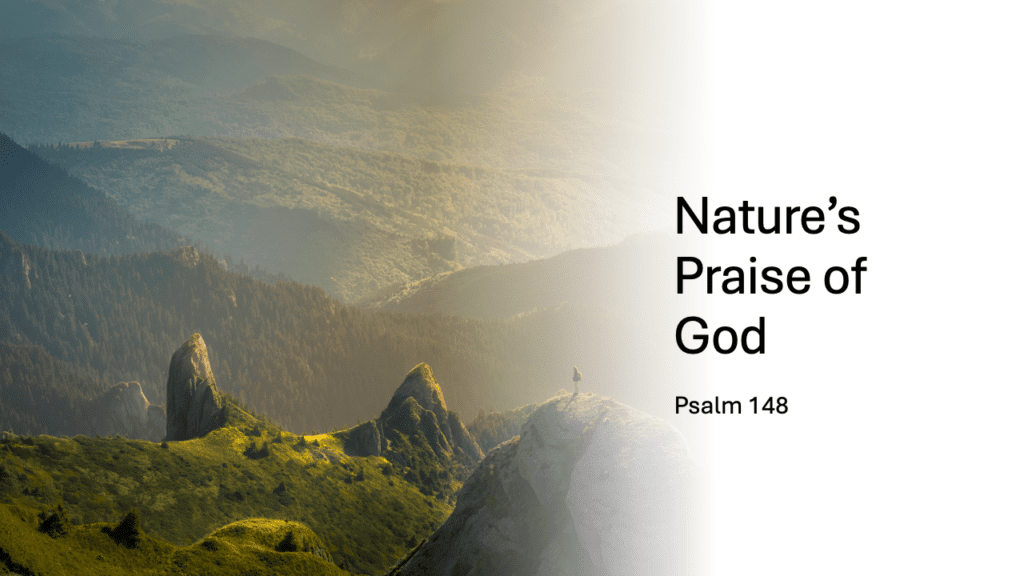 Nature’s Praise of God (Part 2): Humanity’s Role